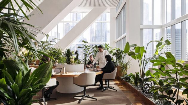 🌿 Office Greenery Solutions UAE: Why Greenery Art Is the #1 Choice